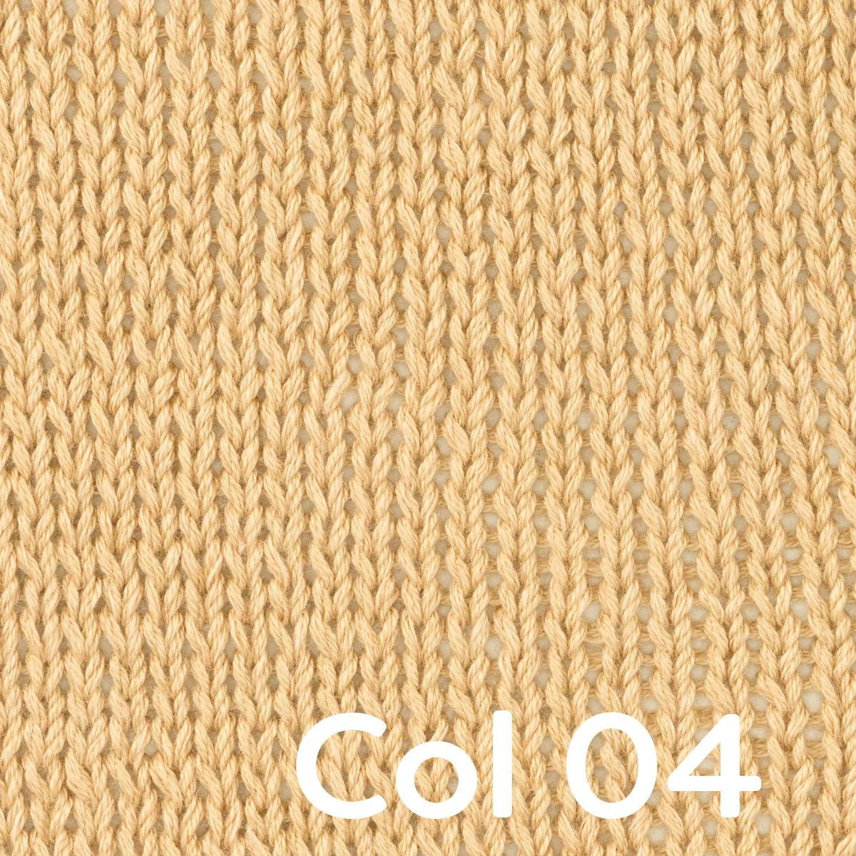 Seashell - Image 6