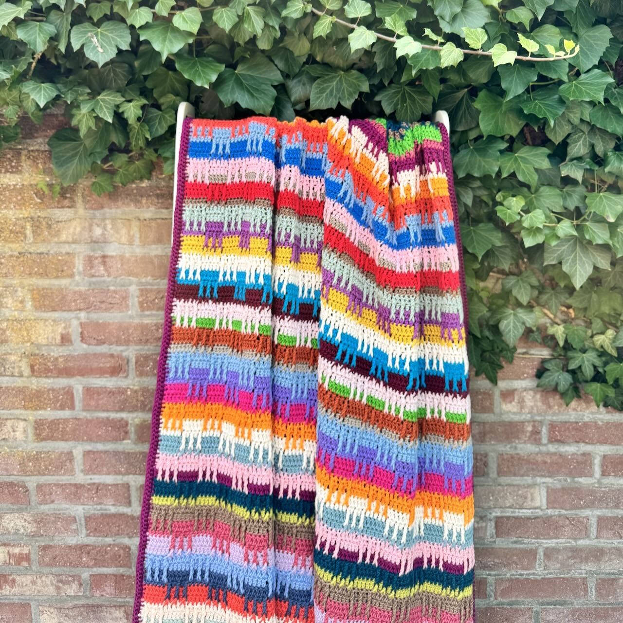 Colour Me - Blanket - Image 5