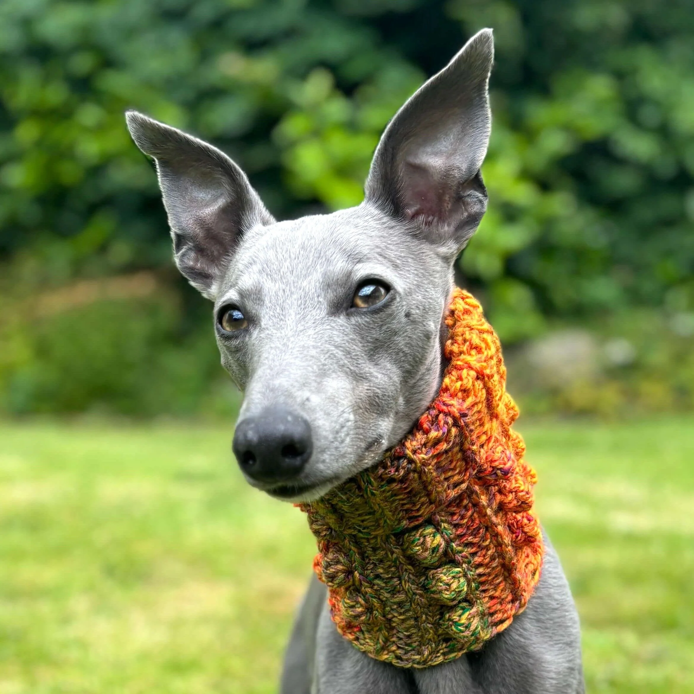 Doggy Bobble - Snood - Image 2
