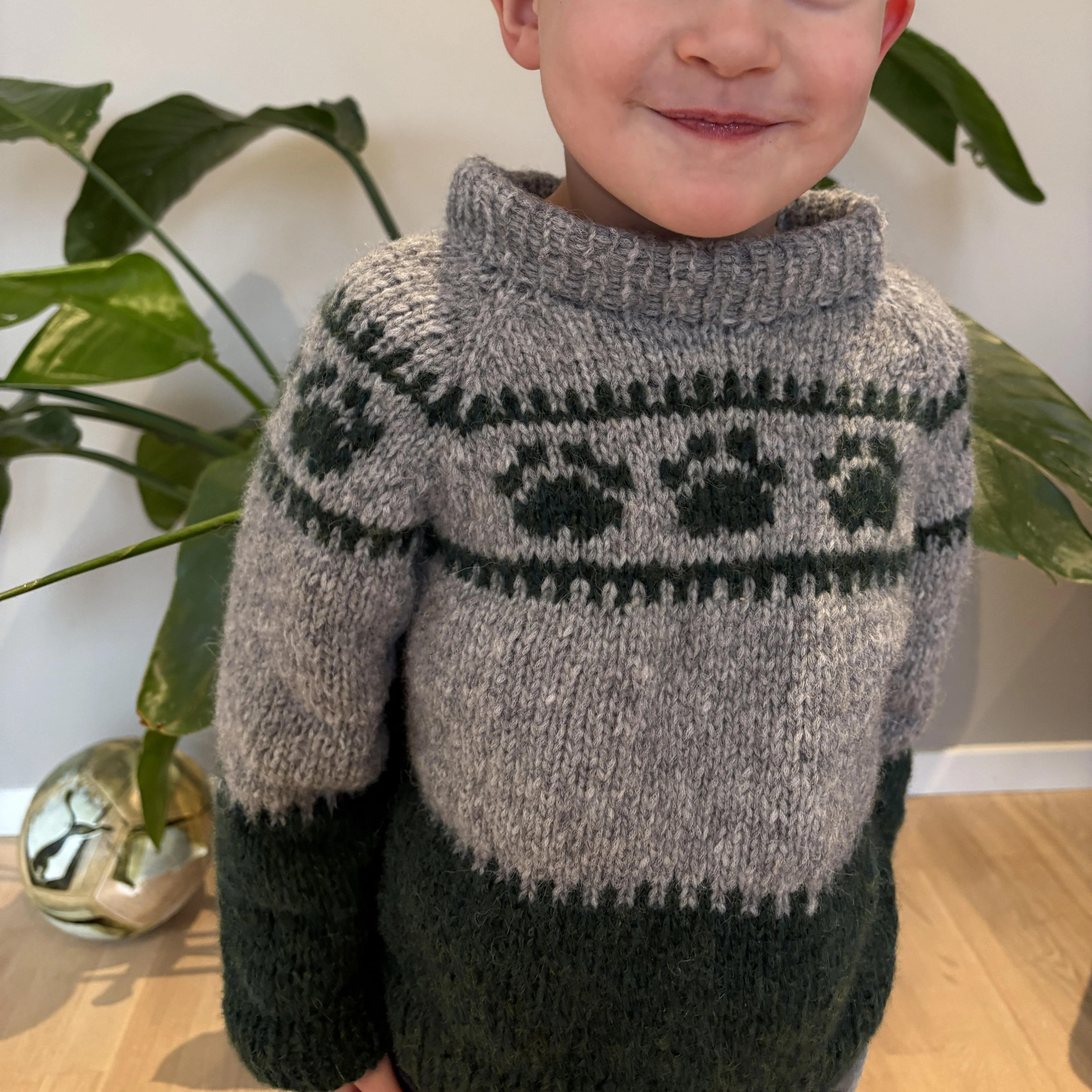 Wild Paws - Children’s Sweater - Image 2