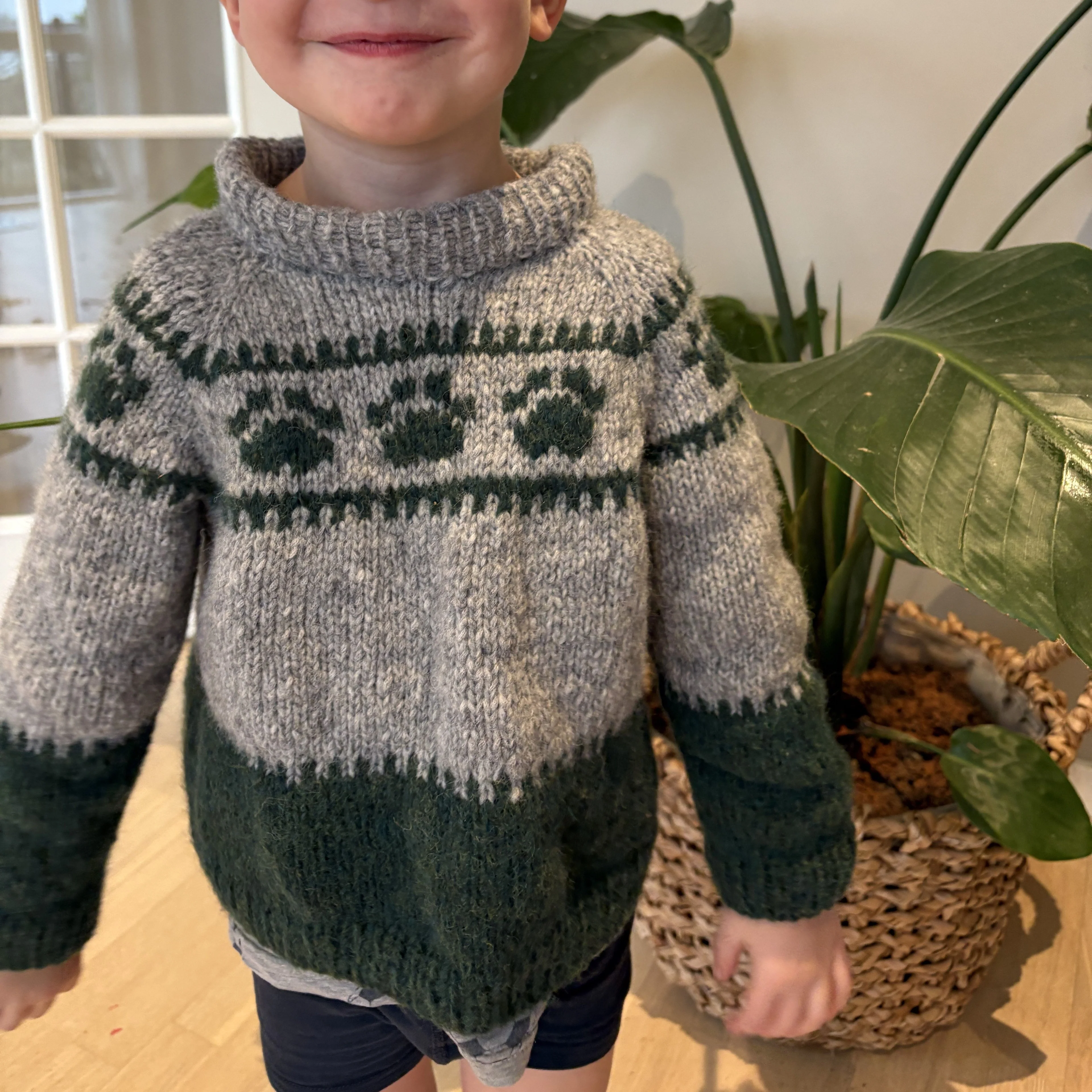 Wild Paws - Children’s Sweater - Image 3