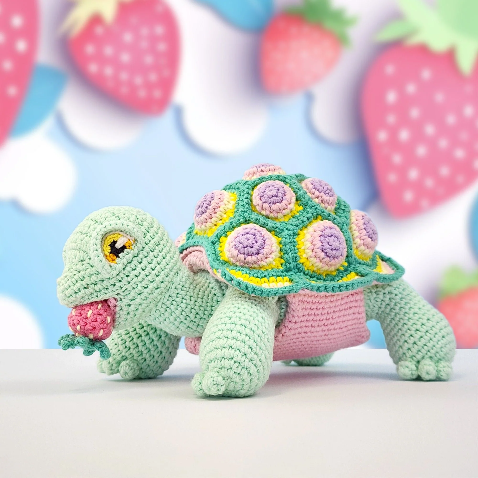 Astro the Tortoise - Image 10