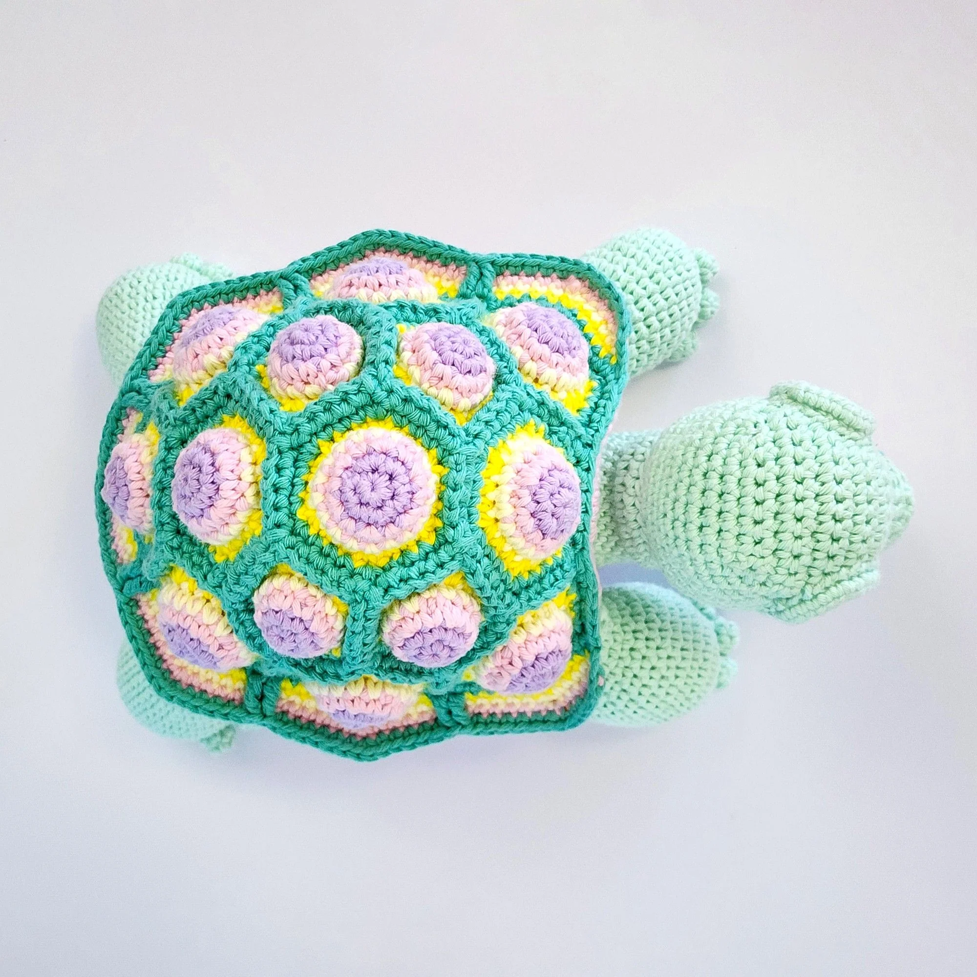 Astro the Tortoise - Image 11