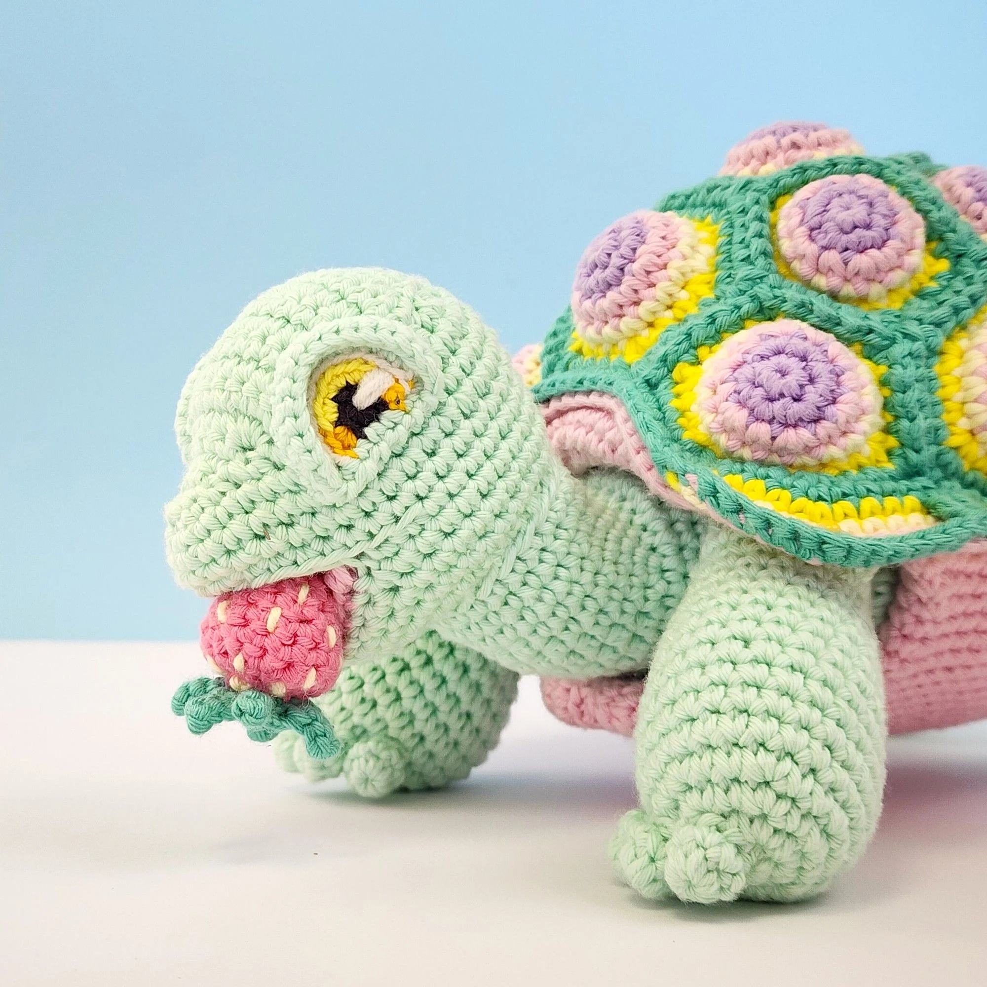 Astro the Tortoise - Image 12