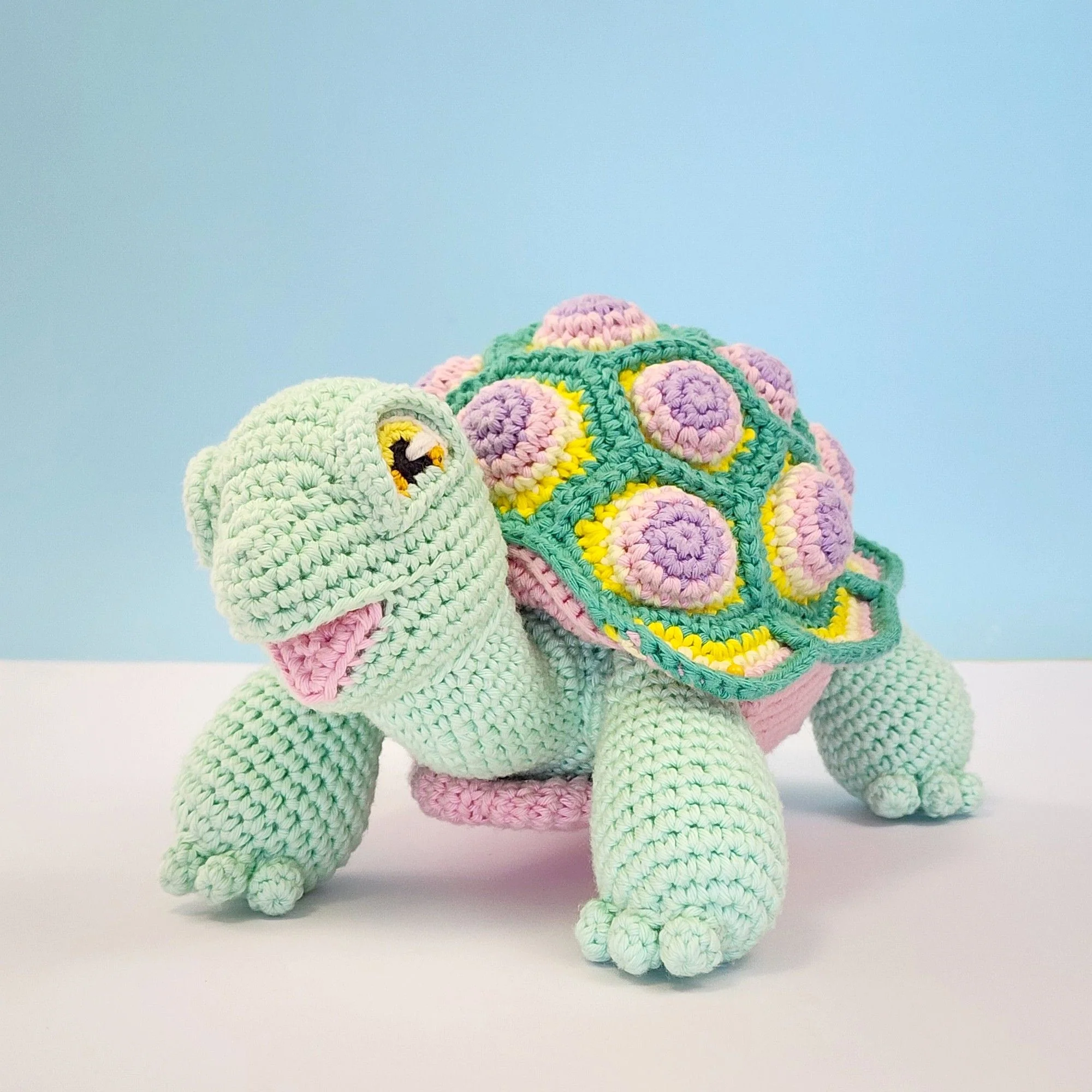 Astro the Tortoise - Image 13