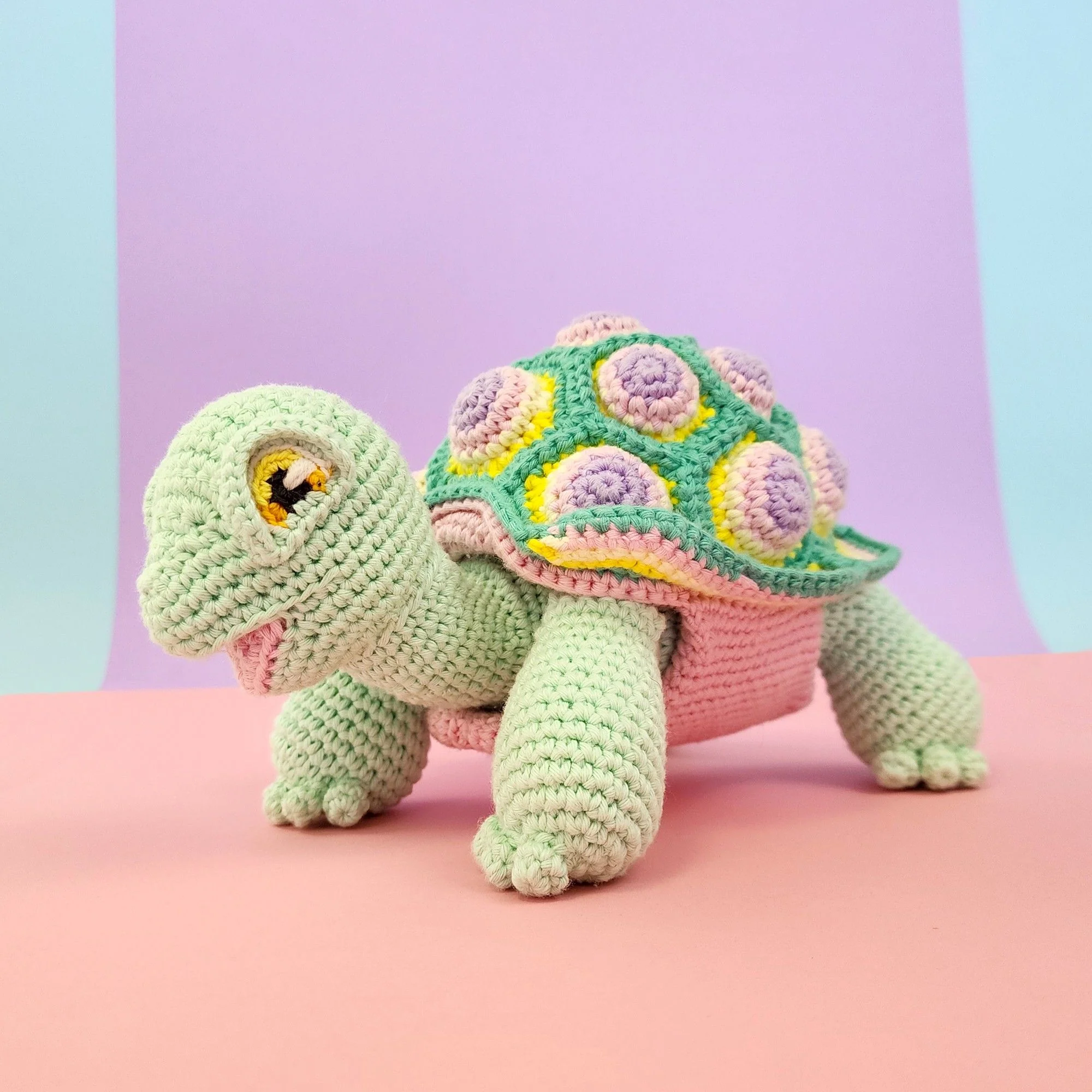 Astro the Tortoise - Image 16