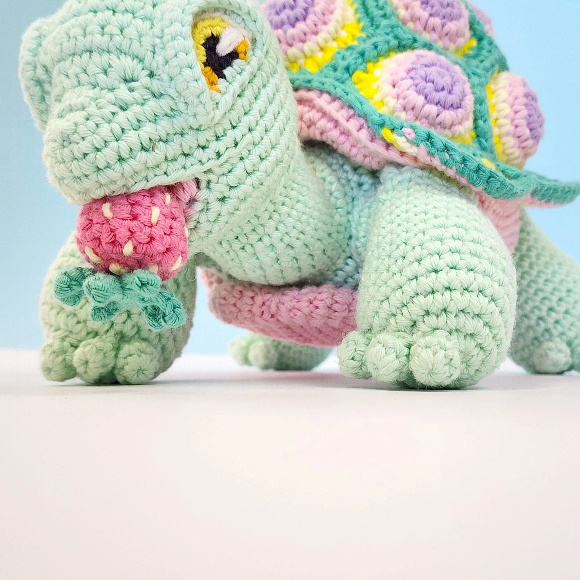 Astro the Tortoise - Image 2