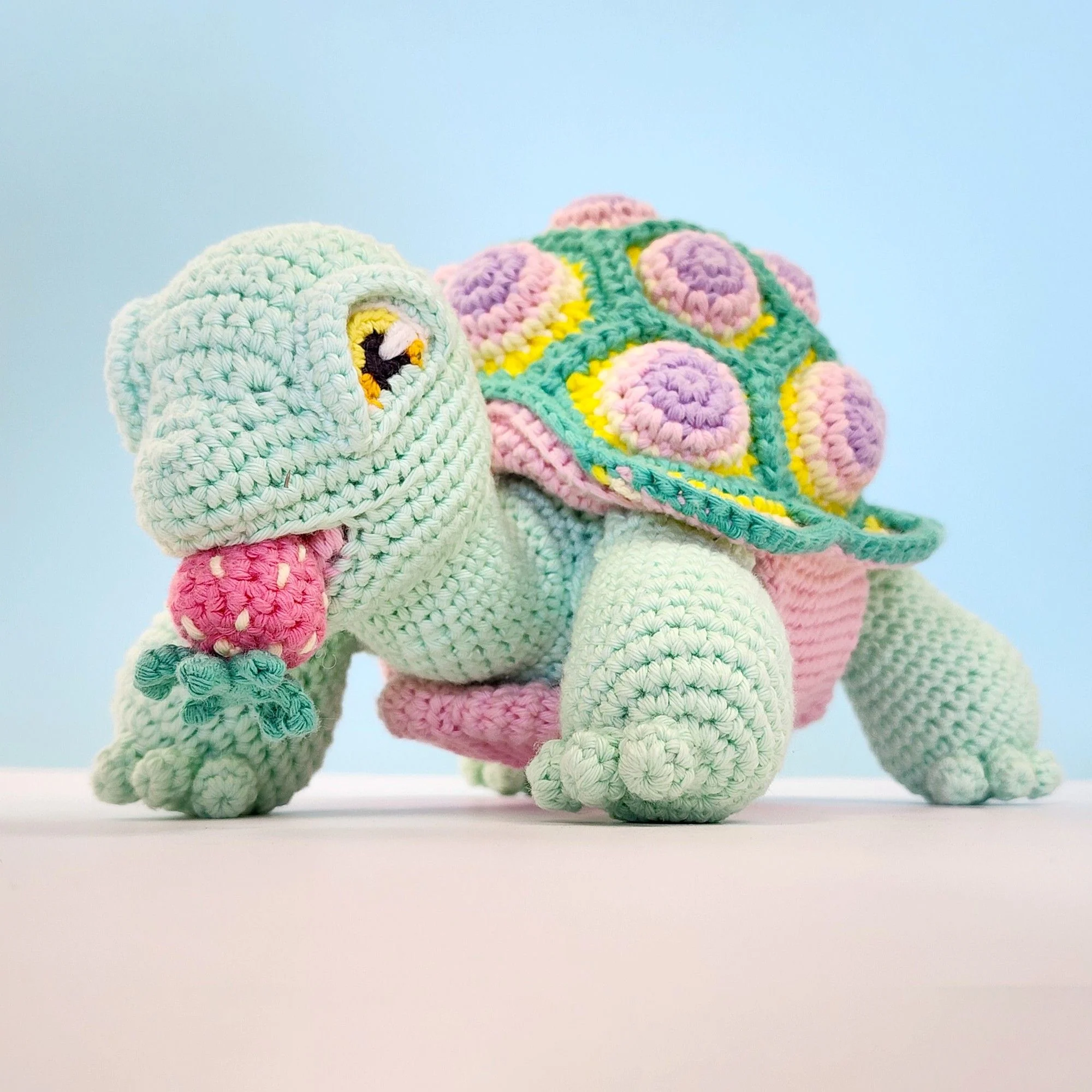 Astro the Tortoise - Image 3