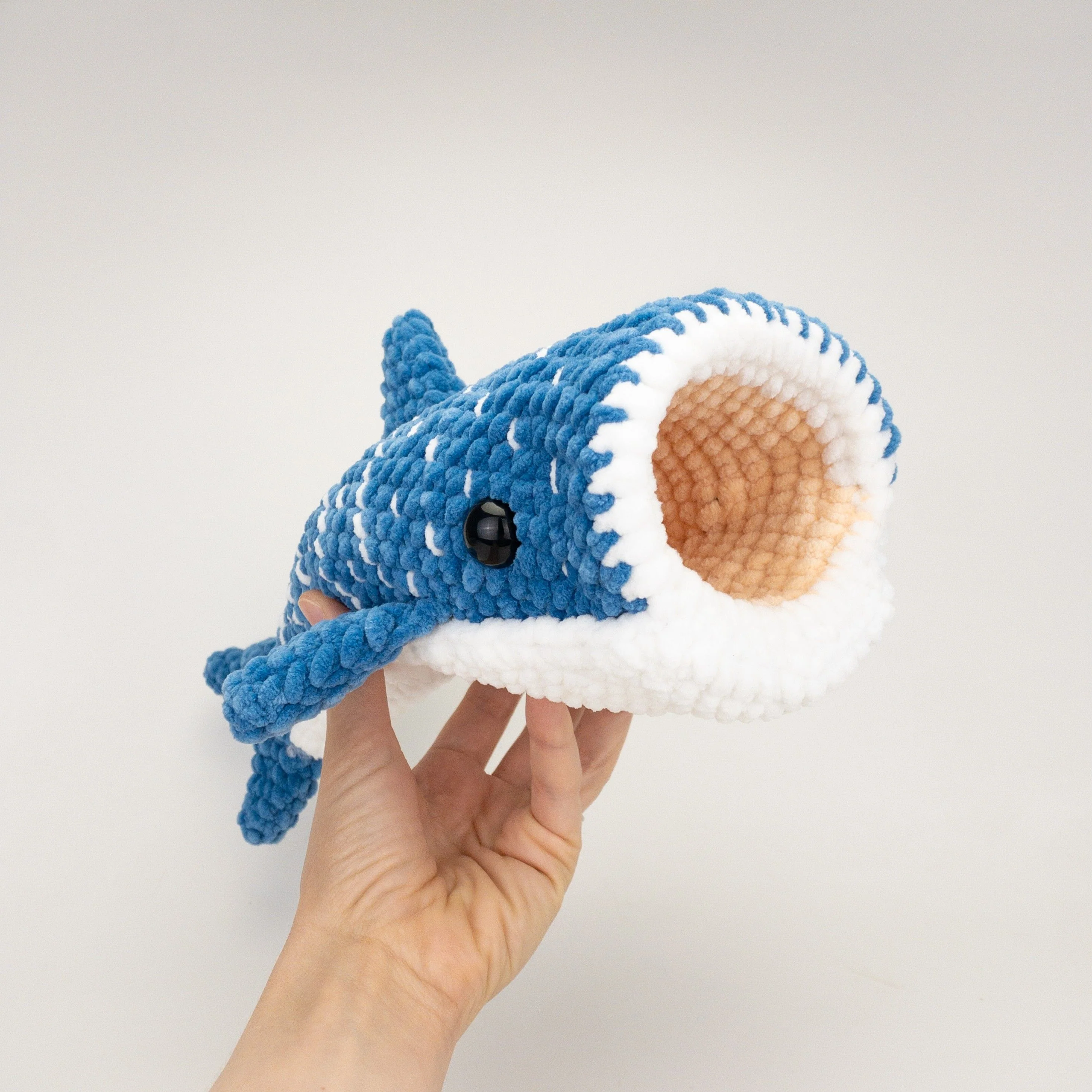 Winslow the Whale Shark - Image 3