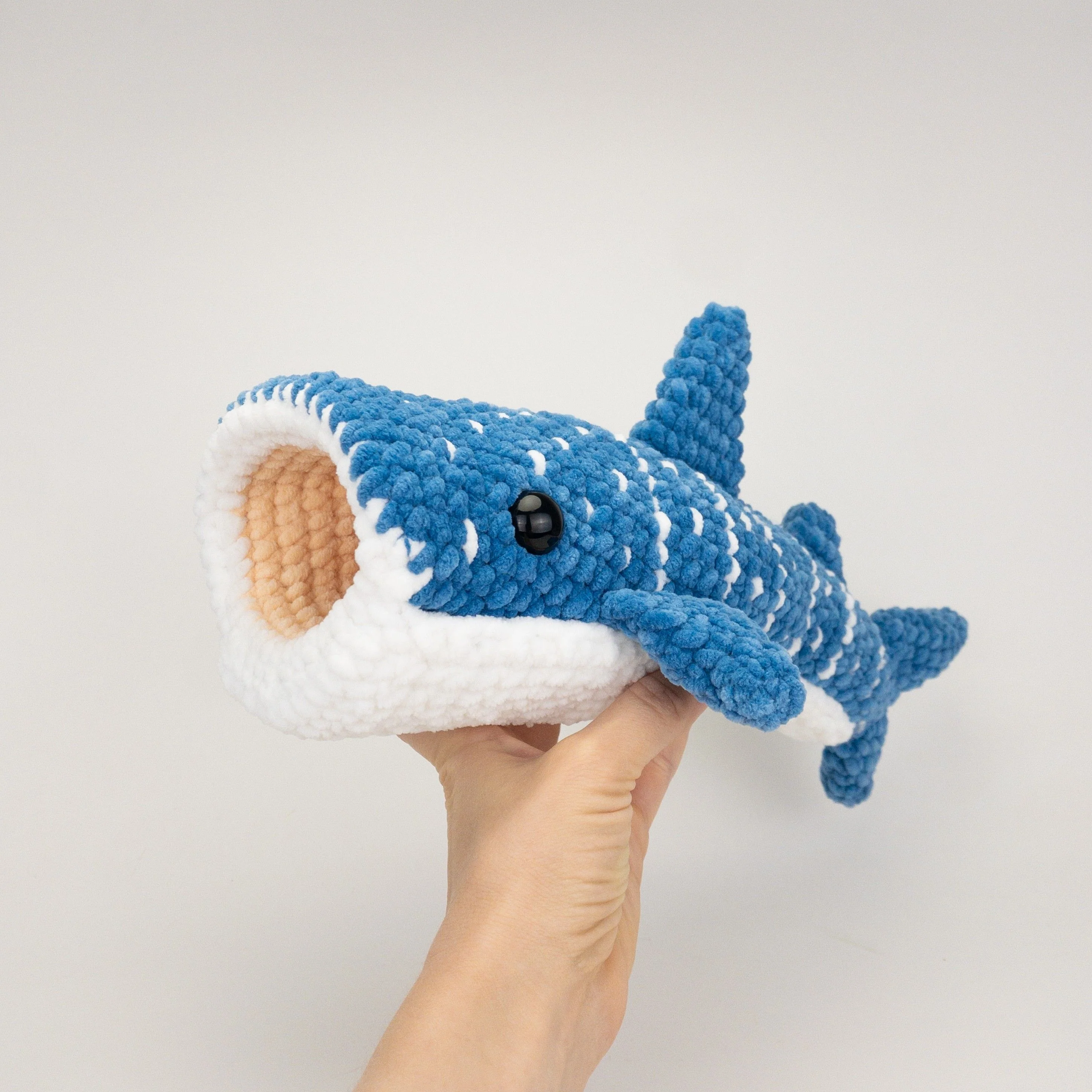 Winslow the Whale Shark - Image 4