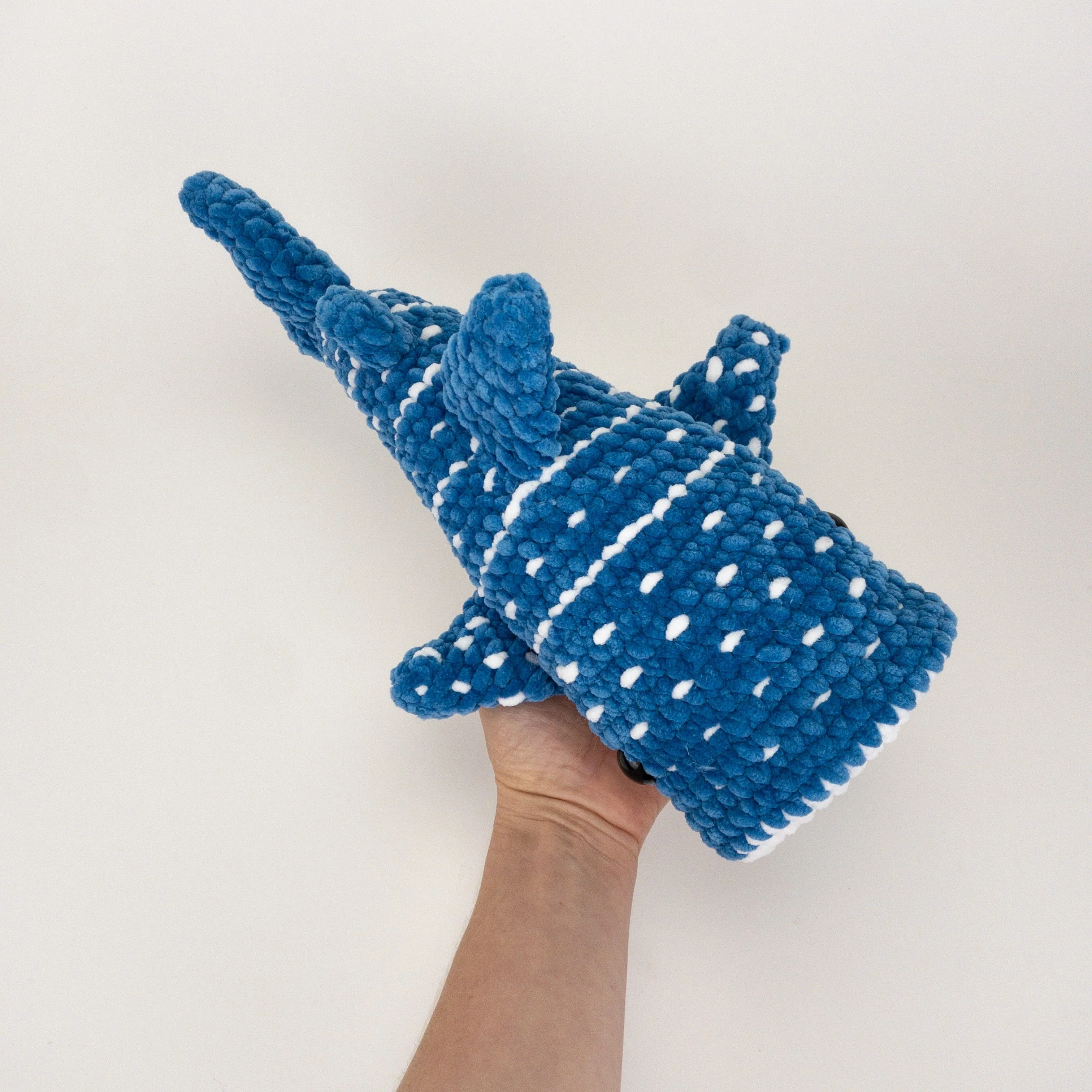 Winslow the Whale Shark - Image 5