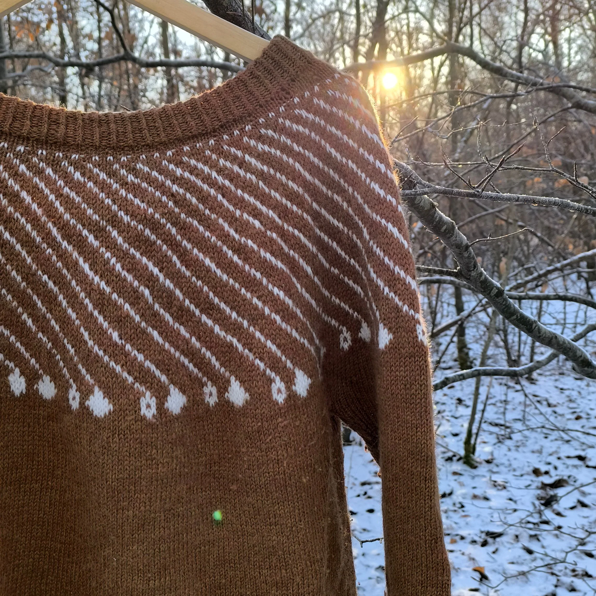 Shooting Star - Sweater - Image 4
