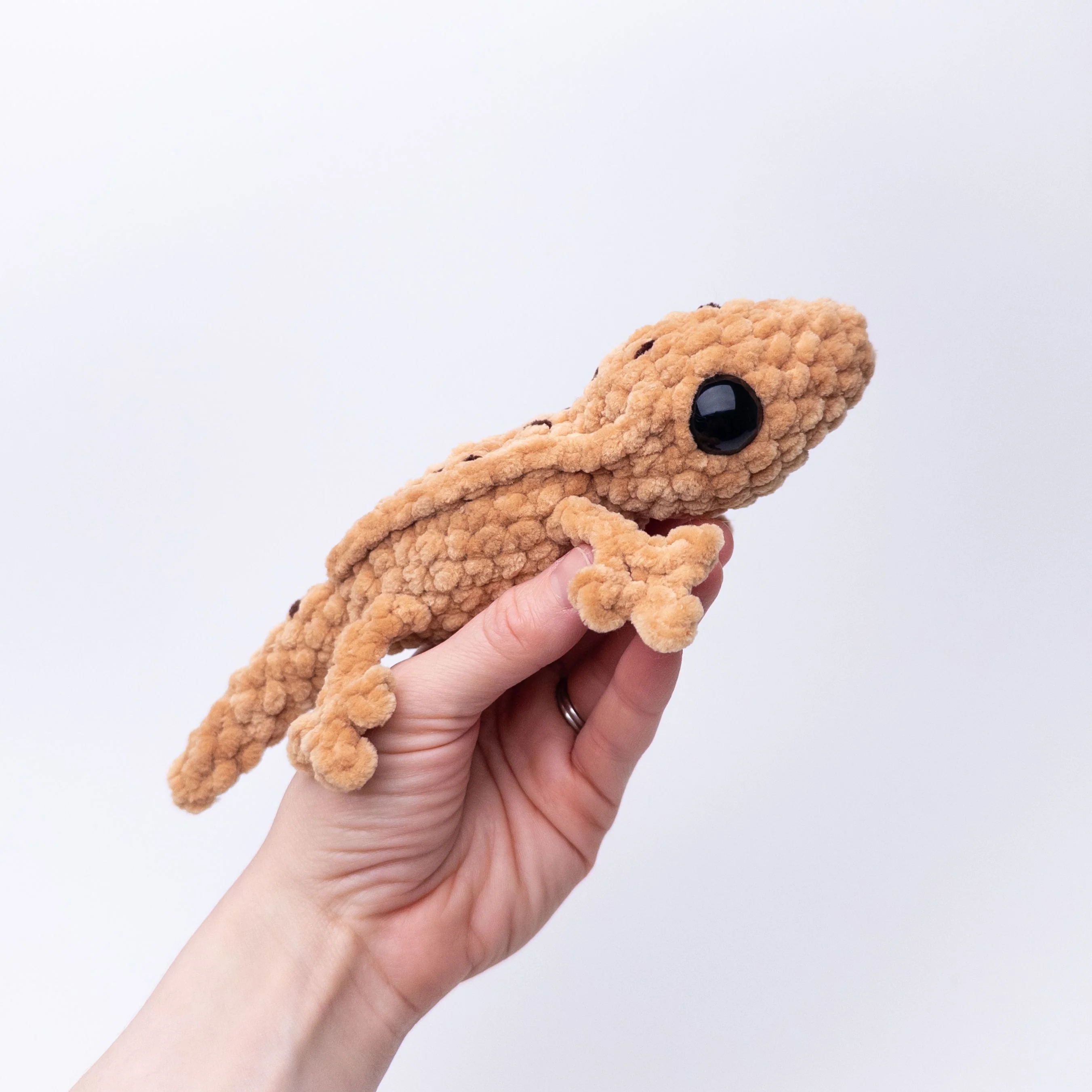 Gavin the Gecko - Image 3